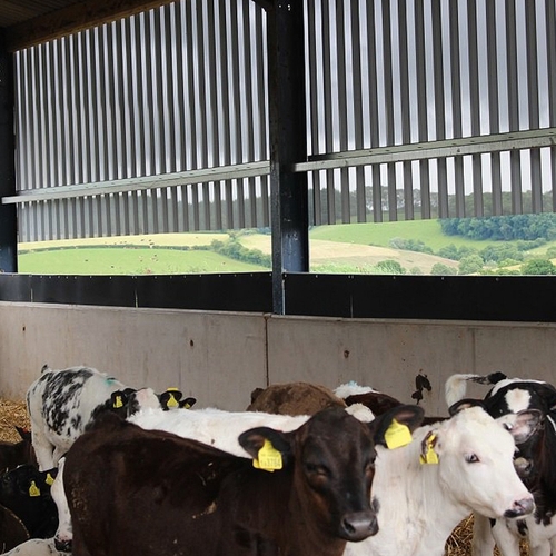 Agricultural Cladding